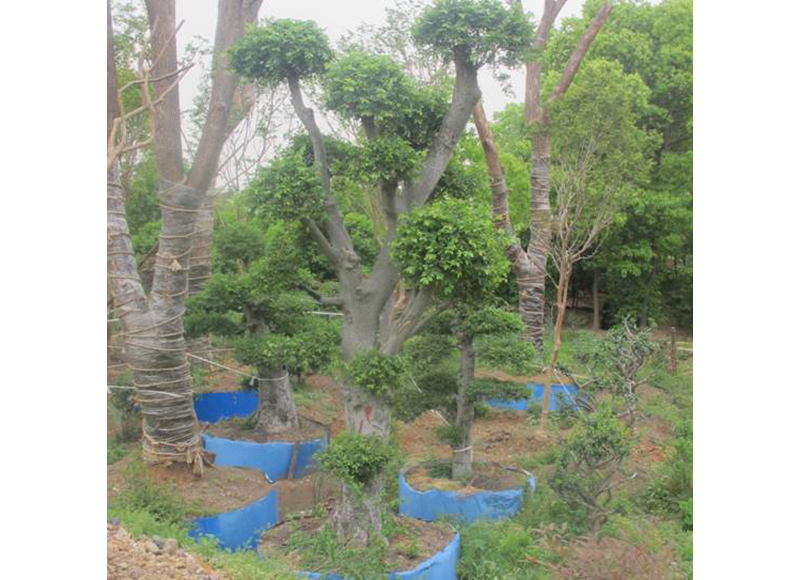 1619590339671812.jpg src=http___b2b.image.yuanlin.com_Biz_2011-5_20115121345513351.jpg&refer=http___b2b.image.yuanlin.jpg