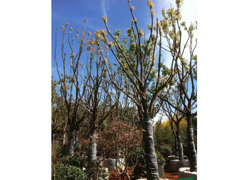 1619590594622239.png 02b8032bc5fc9a4df192b182b6d179b.png