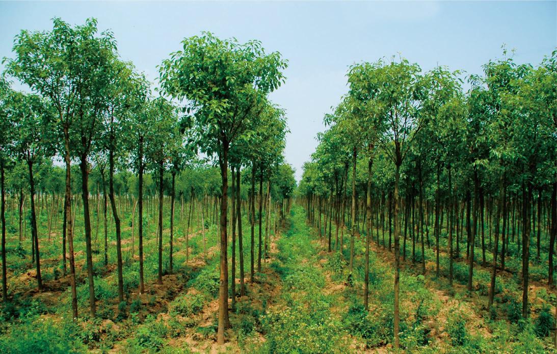 1619601704806845.jpg 1619601704806845.jpg