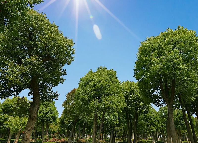 1620375715860205.jpg 1619590605646767.jpg